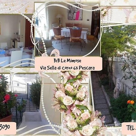 Le Mimose Bed and Breakfast Pescara Buitenkant foto